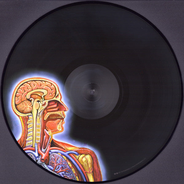 Tool - Lateralus CD Photo
